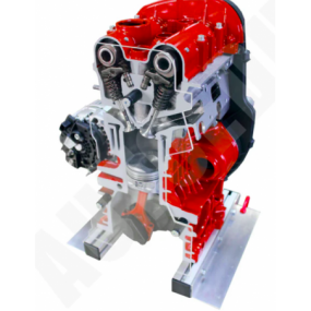 Petrol DOHC engine 1/2 cutaway model (IVDB01)