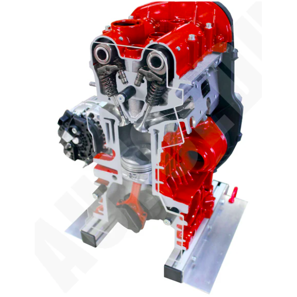 Petrol DOHC engine 1/2 cutaway model (IVDB01)