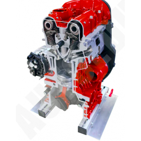Hibridinio automobilio benzininio DOHC variklio ½ modelio pjūvis (IVDB01)