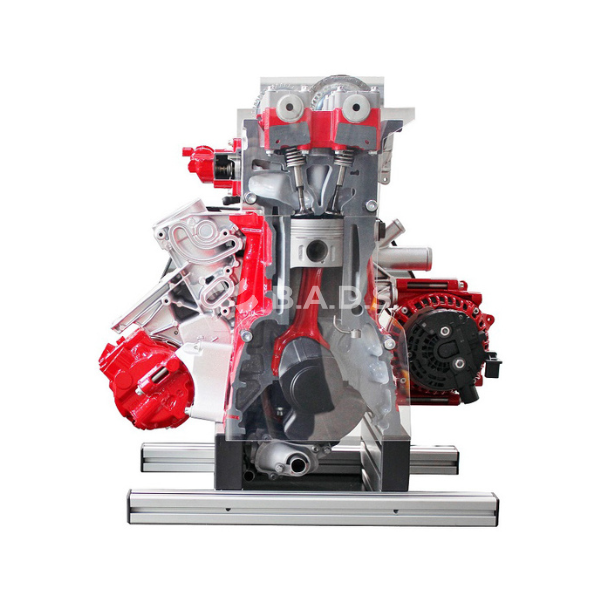 Diesel DOHC Common Rail engine ½ cutaway model (IVDD01-CR02)