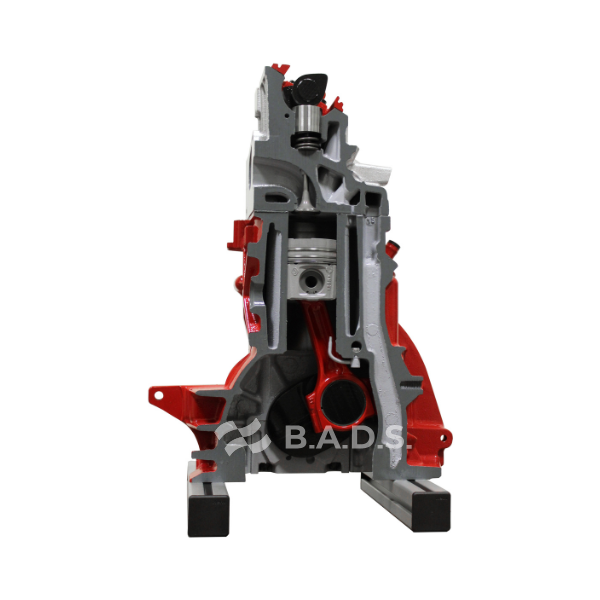 Diesel engine ¼ cutaway model (IVOD01-Q)