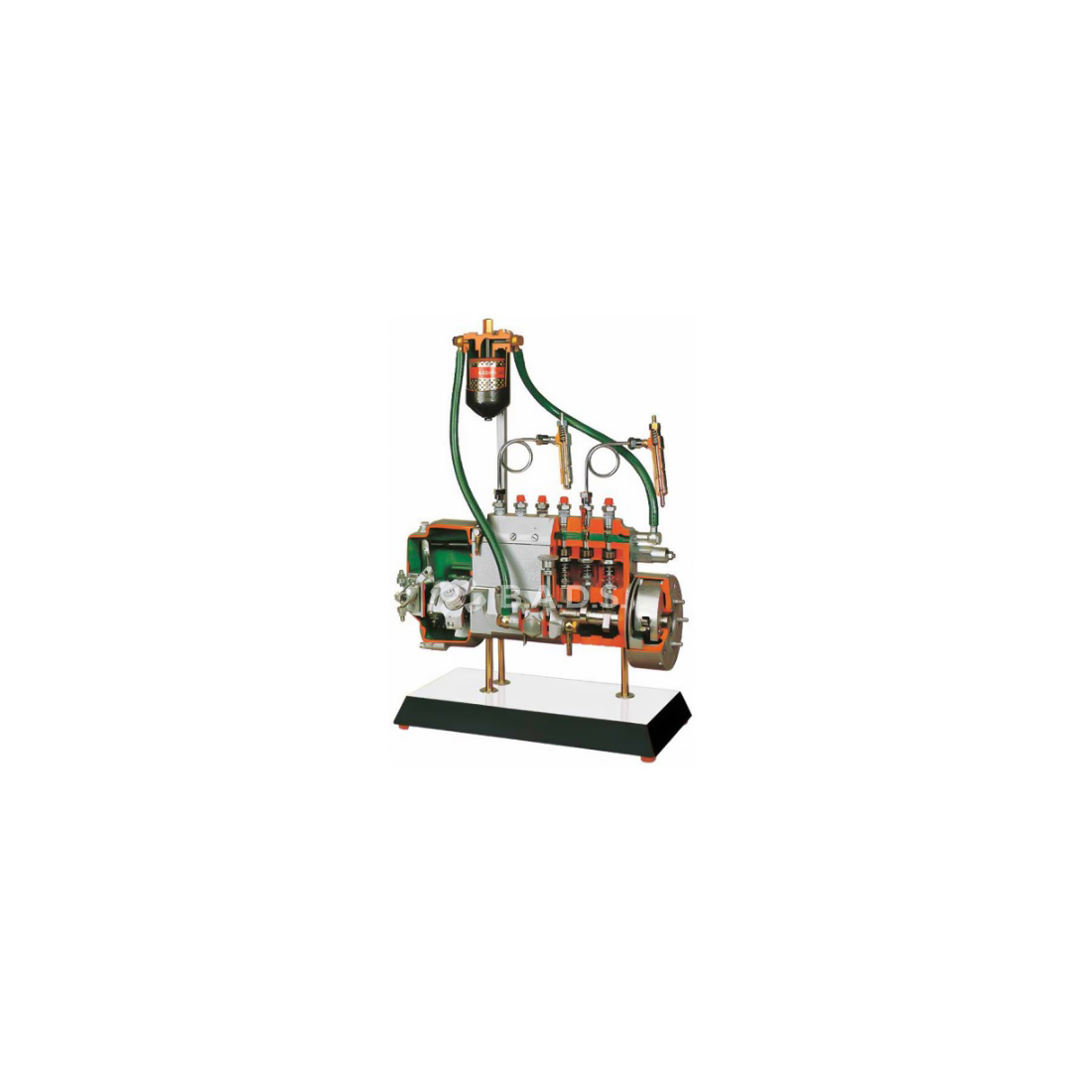 INJECTION PUMP WITH 6 IN-LINE CYLINDERS cutaway Educational Trainer (AE410200M)