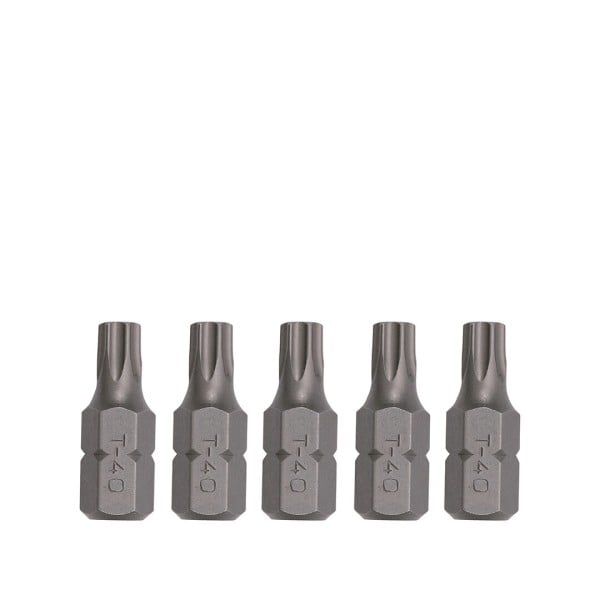 Antgalis TORX10mm, 30mm T20 (9363020, SONIC)