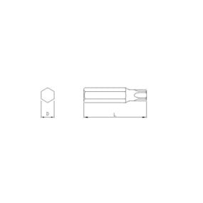 Antgalis TORX10mm, 30mm T20 (9363020, SONIC)