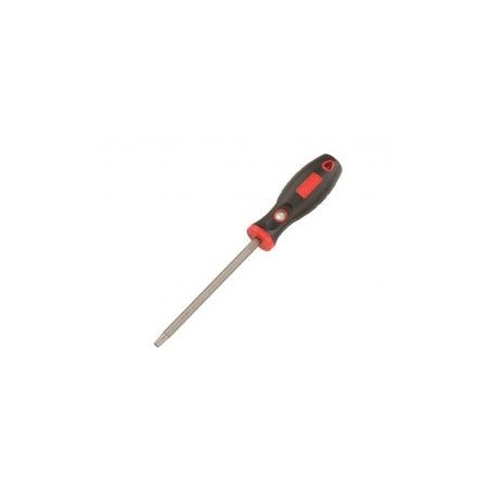 Atsuktuvas TORX su centrine skyle T-40 (508+7940, GENIUS)