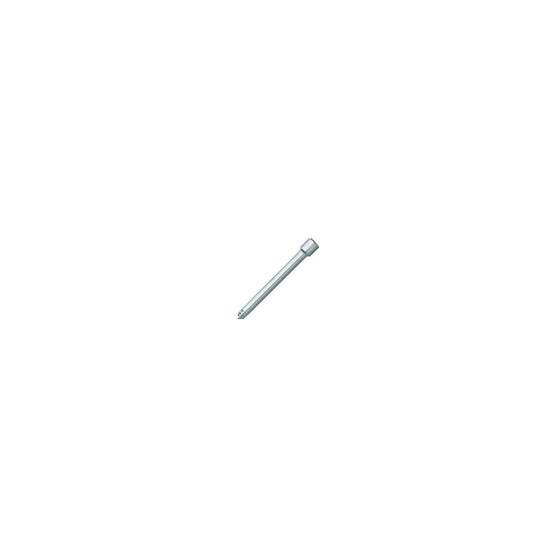 Extension 1/4" 100mm (AutoDelo) (39762, BALTWERK)