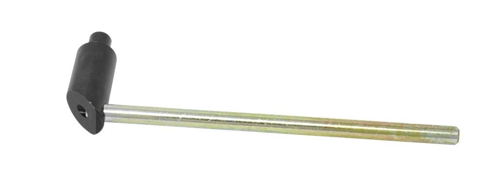 Vaizdas ANS01