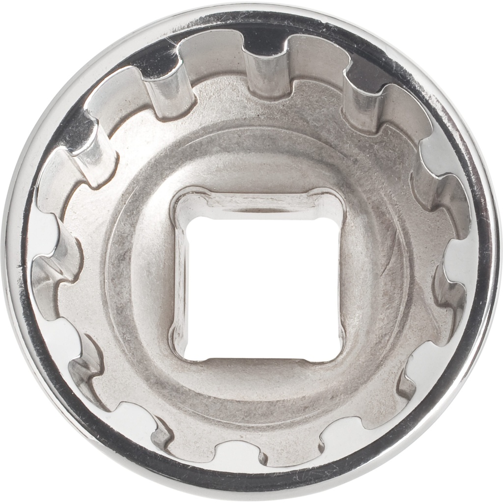 Socket V2000, VIGOR (2)