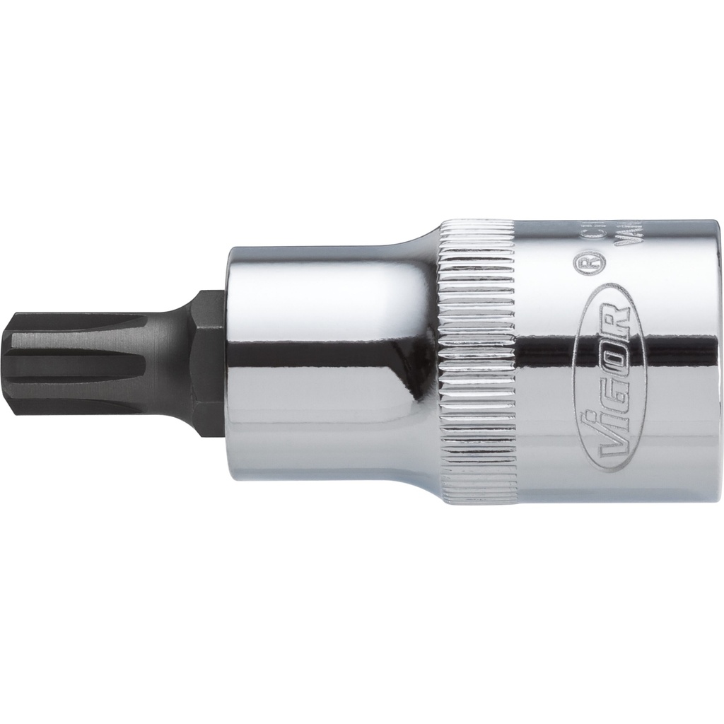 Screwdriver bit V2206, VIGOR (3)