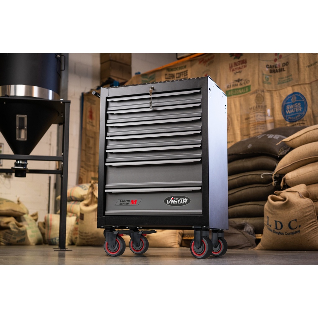 Series M V2379N, VIGOR (3)
