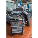 Series M V2379N/210, VIGOR (4)