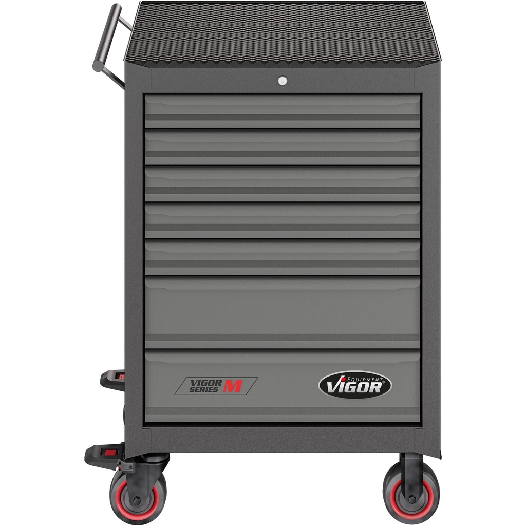 Series M V2379N/210, VIGOR (5)