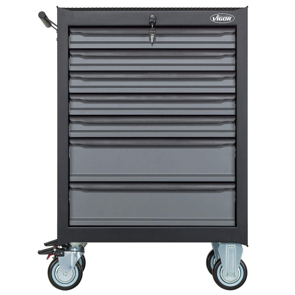 Series M V2712N, VIGOR (6)