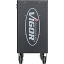 Series L V4219, VIGOR (3)