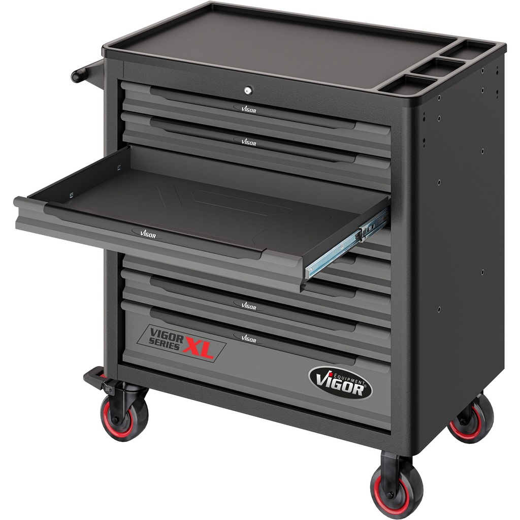 Series XL V4481, VIGOR (6)