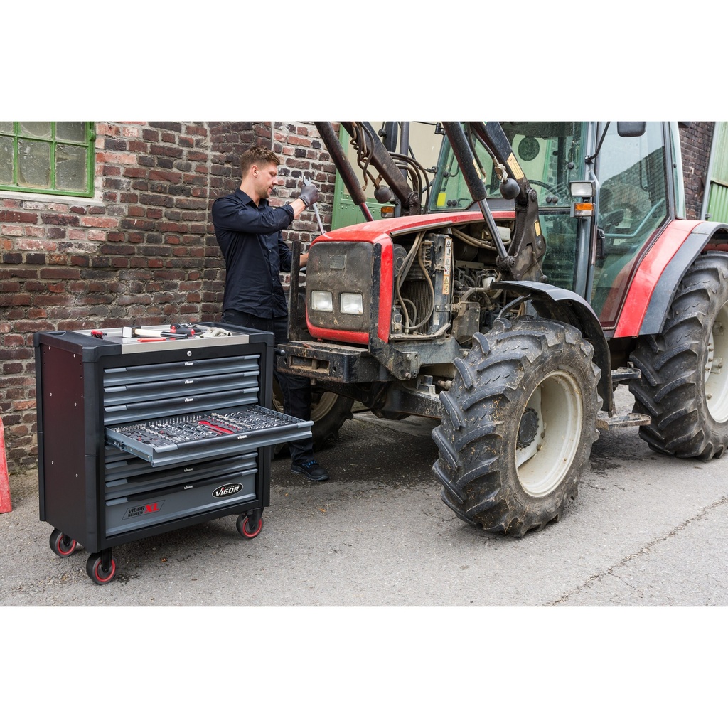 Series XL V4481-X, VIGOR (5)