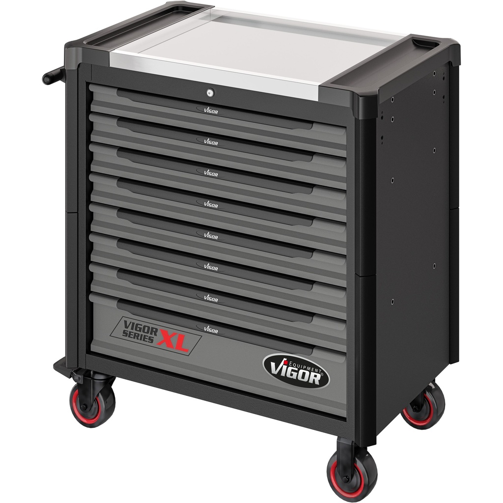 Series XL V4481-X, VIGOR (6)