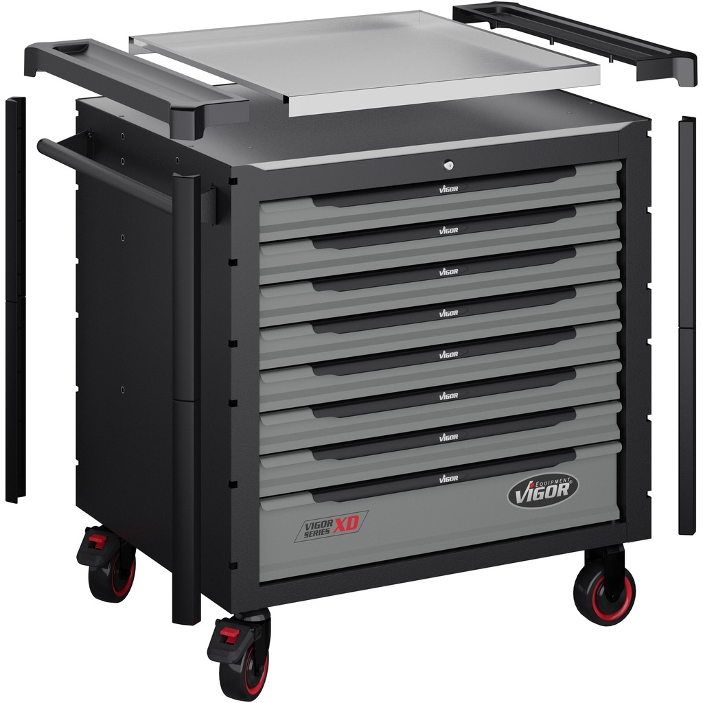 Series XD V4481-XD, VIGOR (6)