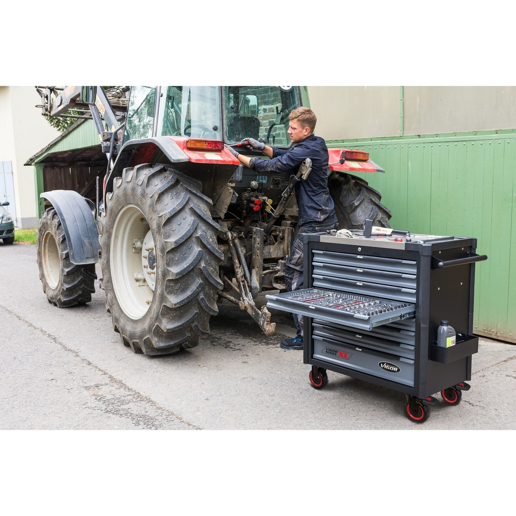 Series XL V4481/416, VIGOR (4)