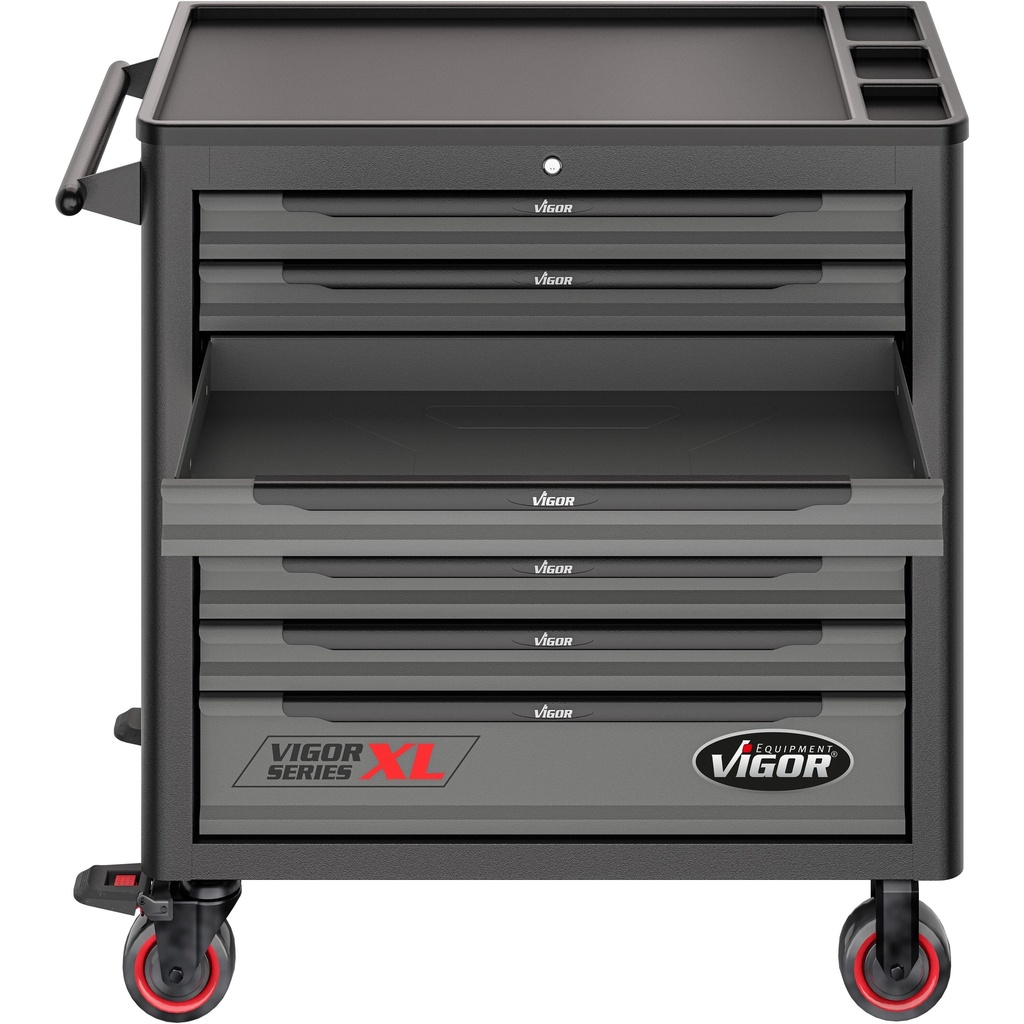 Series XL V4542, VIGOR (5)