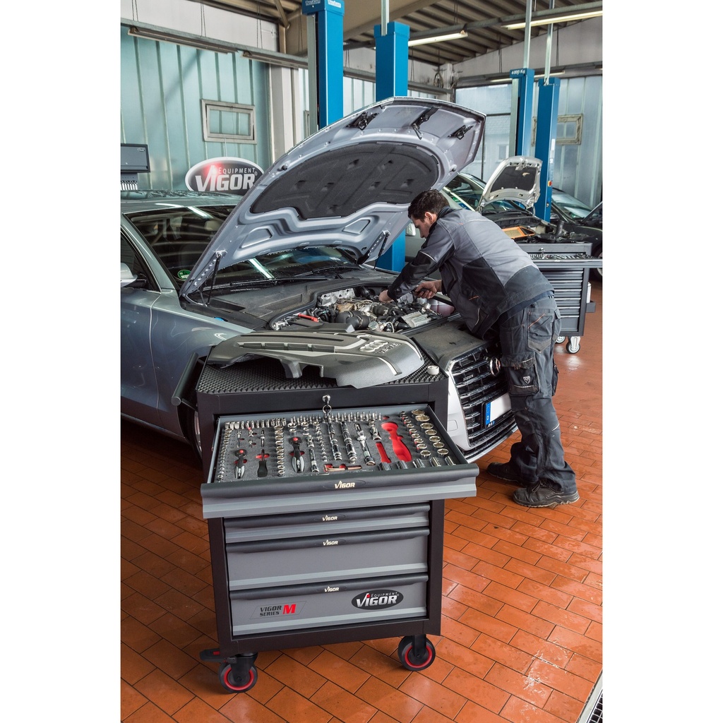 Series M V5489, VIGOR (4)