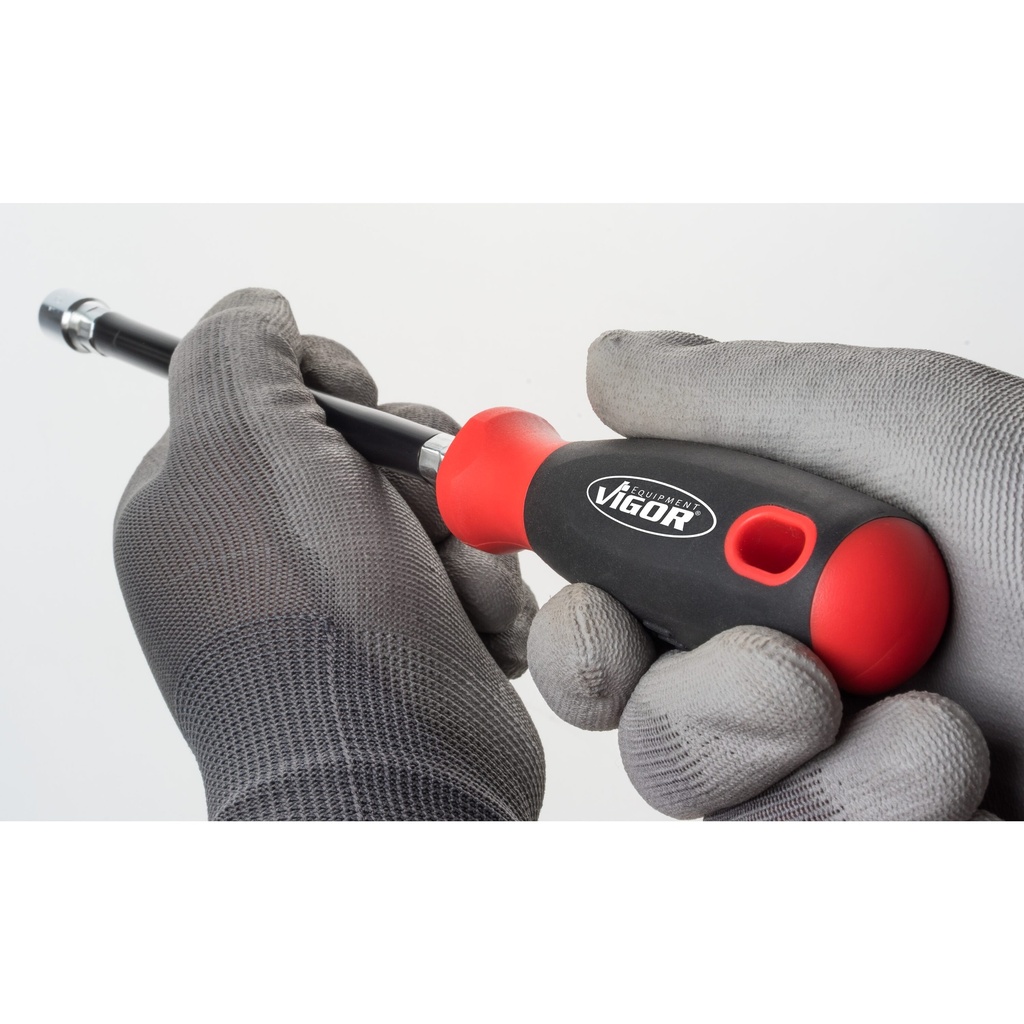 Screwdriver set ∙ flexible V5661, VIGOR (2)
