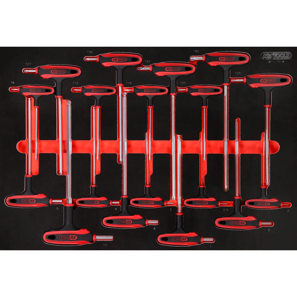 T formos šešiabriaunių ir TORX raktų rinkinys putplasčio įdėkle, 18 vnt. (811.1018, KS TOOLS)