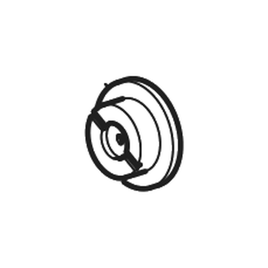 Piston d.30 (B0938000, RAVAGLIOLI)