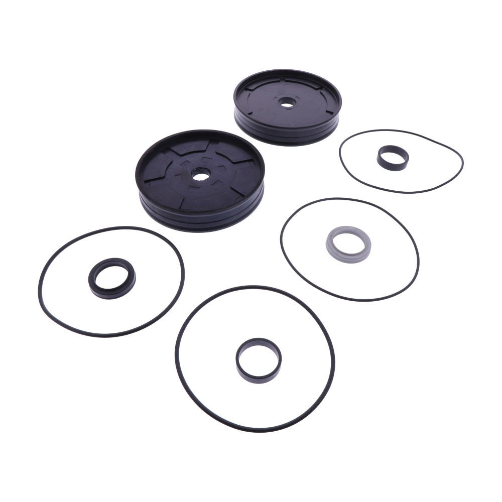 D.125 cylinder seal kit 710590420 (GU4940, RAVAGLIOLI)