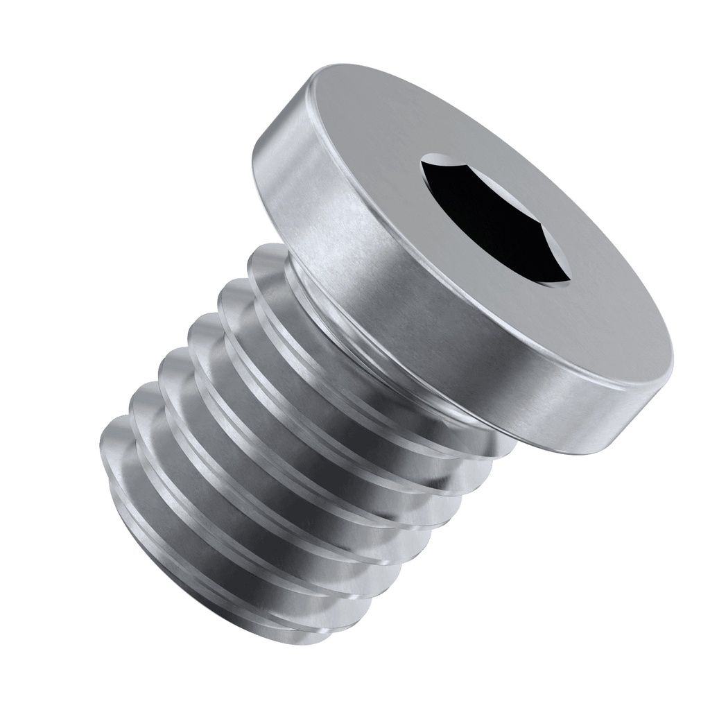 Screw plug DIN 908 1/4 in. with washer (048271100, RAVAGLIOLI)