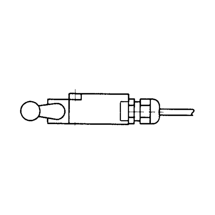 Limit switch Ls2 cable assembly (058066272, RAVAGLIOLI)