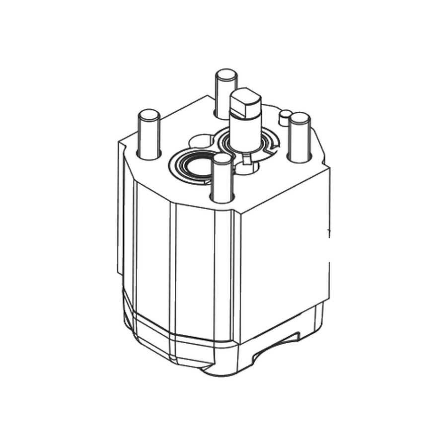 Hydraulic pump AP100/5 s.309 with cover, 270 bar (058071041, RAVAGLIOLI)