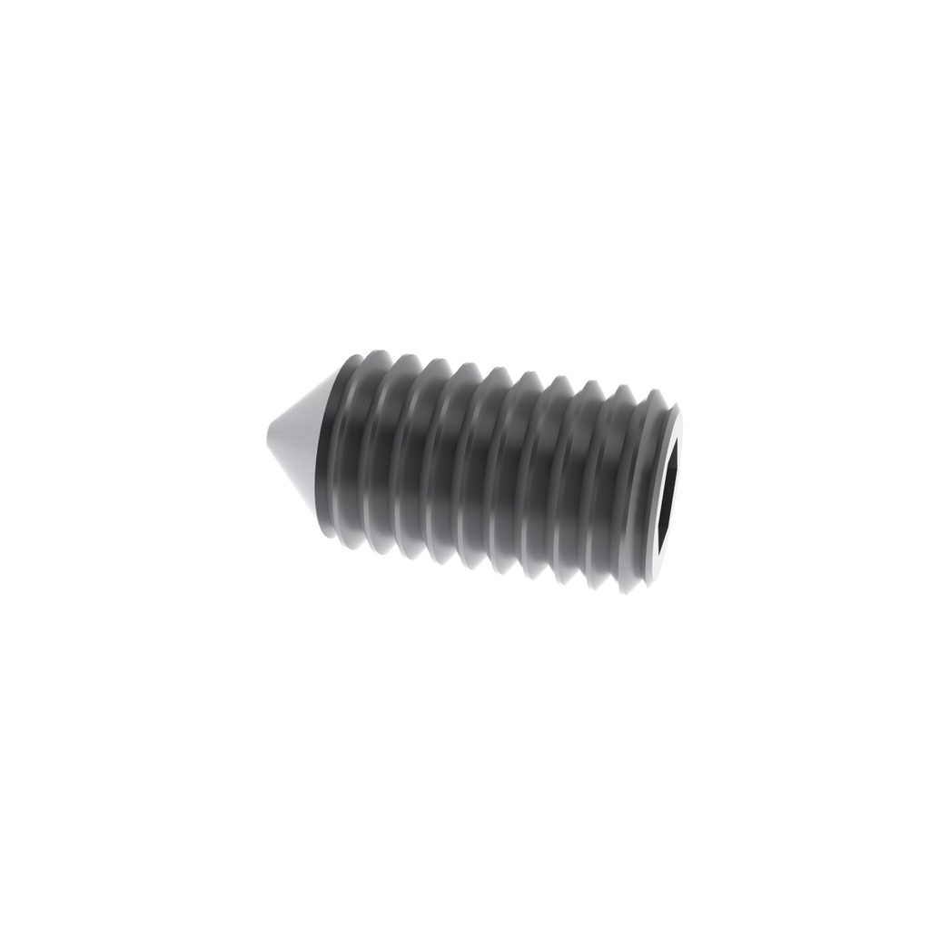 Socket set screw with cone point M8x25 (212037, RAVAGLIOLI)