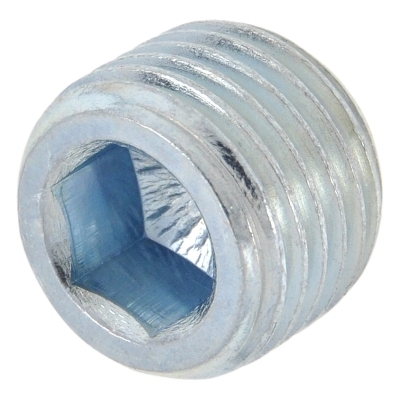 Vamzdinė aklė su vidiniu šešiabriauniu 1/4 col., cinkuota (299058, RAVAGLIOLI)