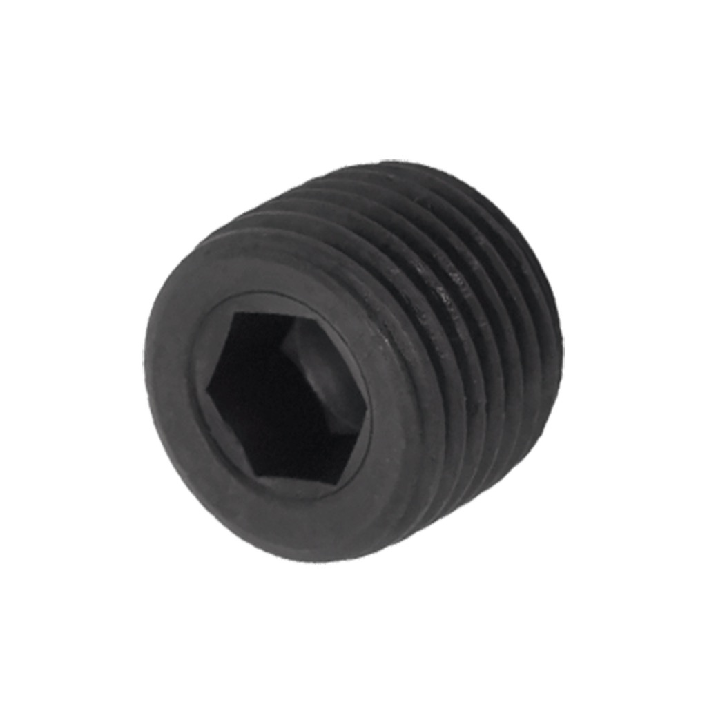 Screw plug 1/2 in. male thread (311005, RAVAGLIOLI)