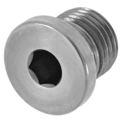 Hex socket plug 1/4 in., DIN 908 (311013, RAVAGLIOLI)