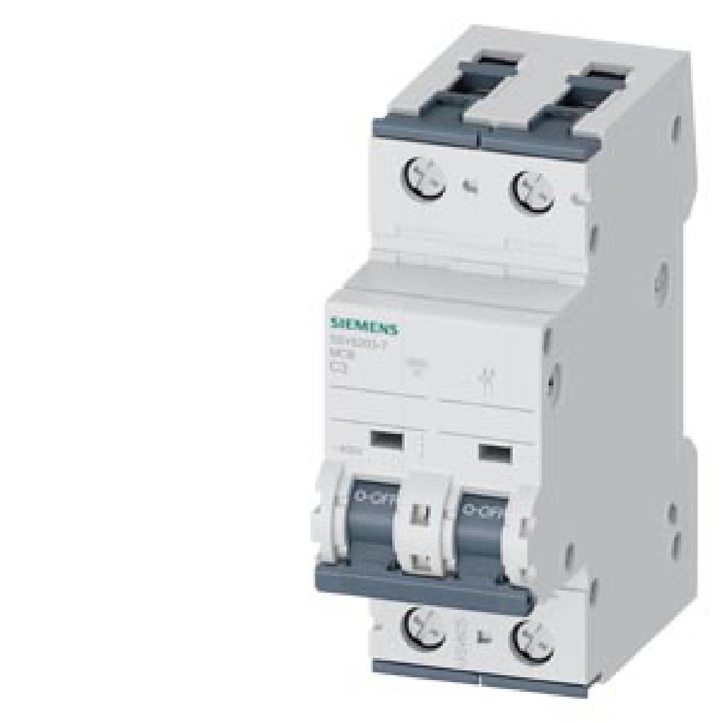Two-pole circuit breaker 5SY6203-7 (518216, RAVAGLIOLI)