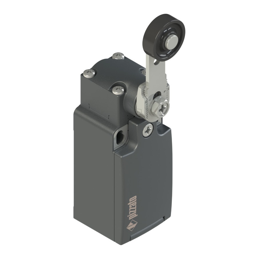 Micro switch FR552A (527083, RAVAGLIOLI)