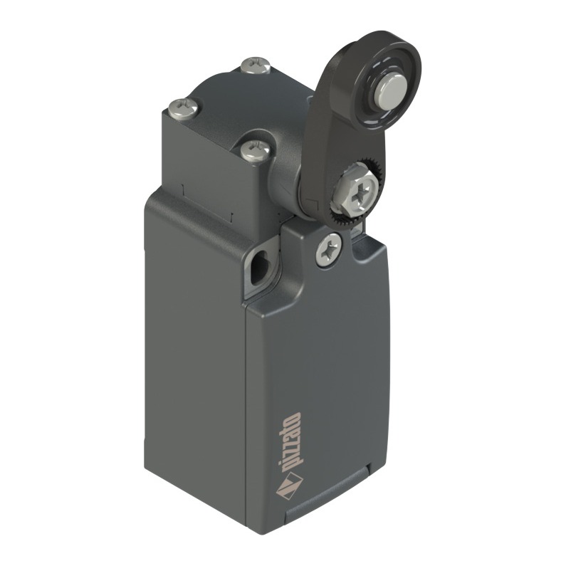 Limit Switch FR530A (528059, RAVAGLIOLI)