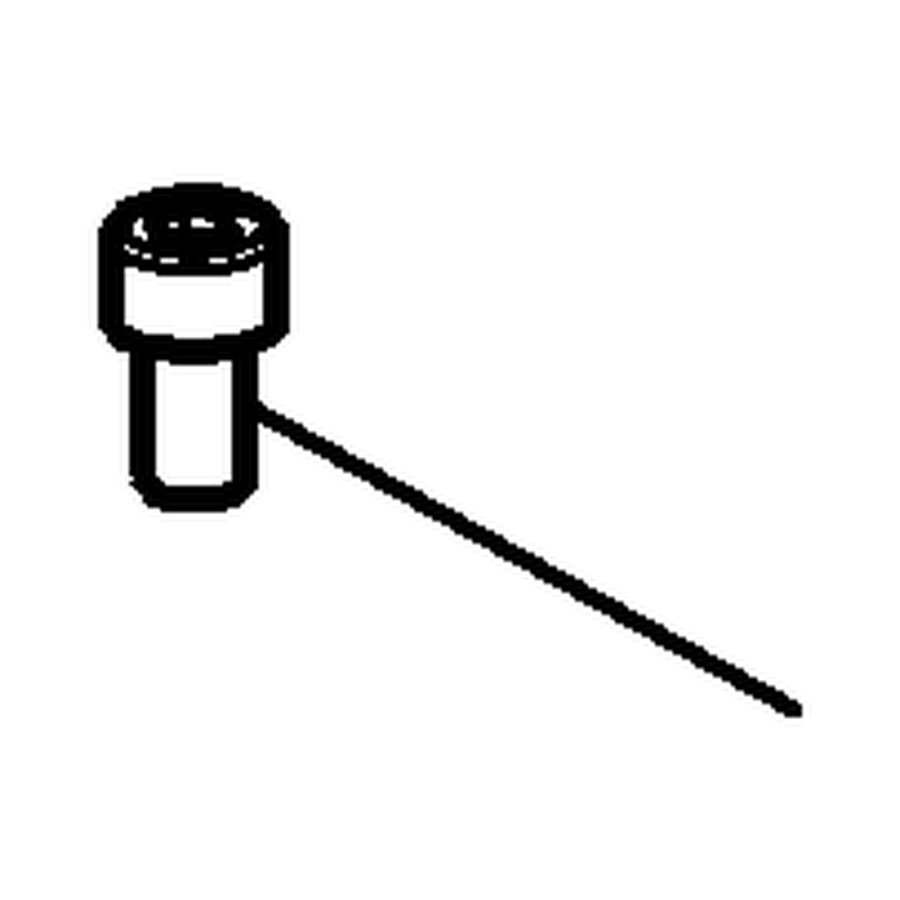Special clamping screw (730020250, RAVAGLIOLI)