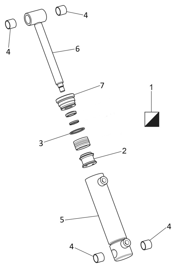 Atsarginis cilindro komplektas (752275011, RAVAGLIOLI)