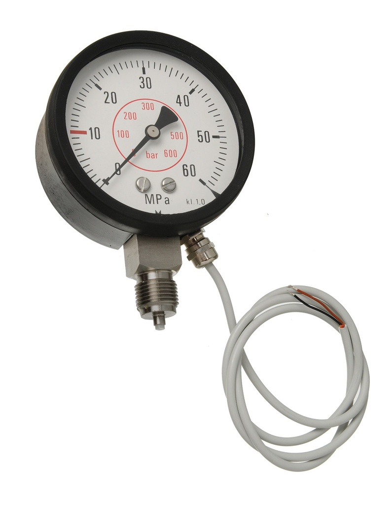 Grease Pressure Sensor Kit 0–600 bar, 3/8 in. BSP (M)-(M) (53142, EUROLUBE)