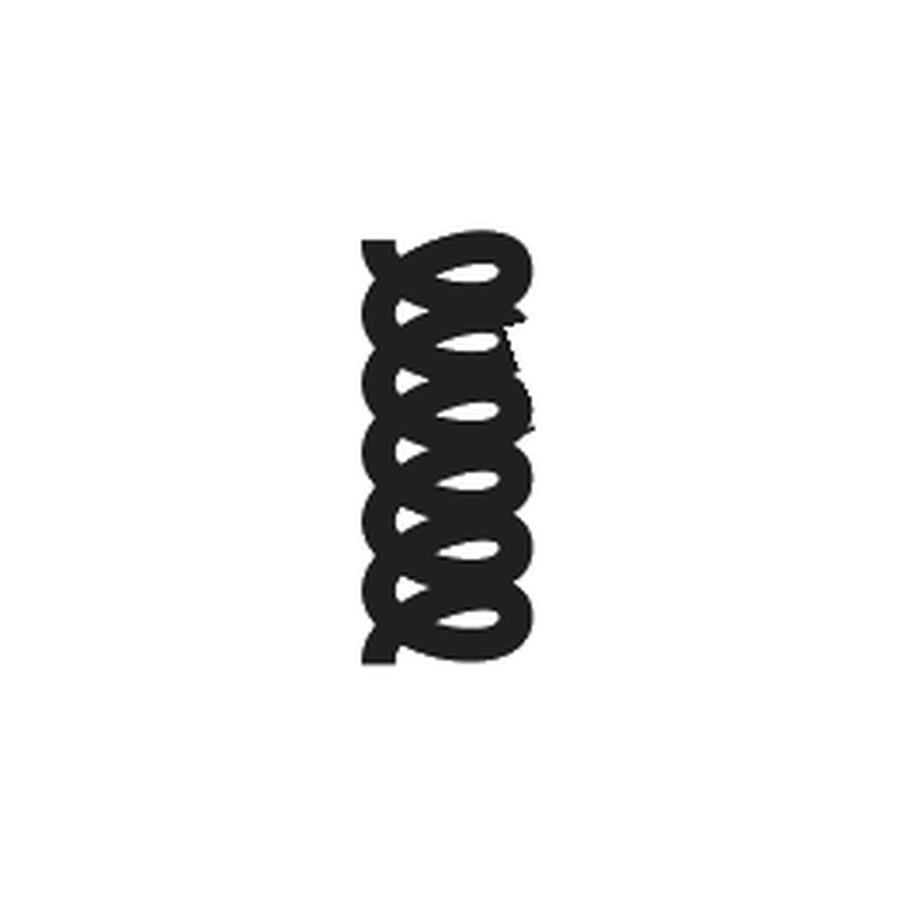 Toothed lock spring (950001411, RAVAGLIOLI)