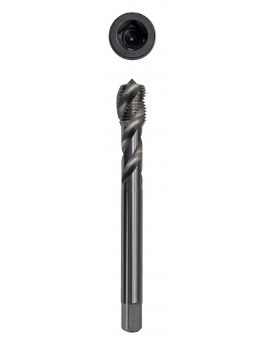 Male set and magnetic male holder adapter m12x1.25 (GO956, GOVONI)