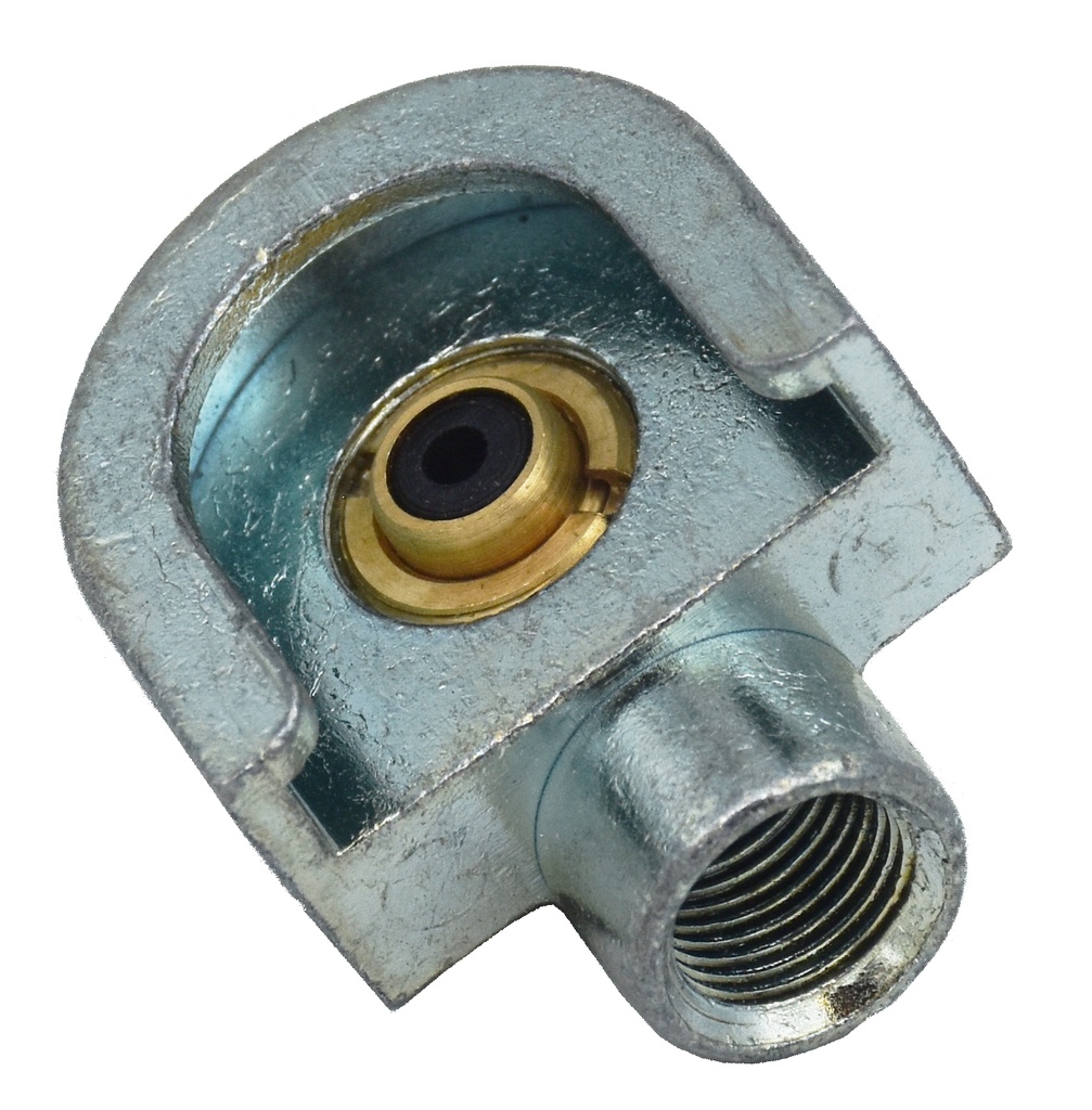 Uzgalis plakangalvas smērnipeļiem Ø22 mm, 1/8” BSP (26797, EUROLUBE)