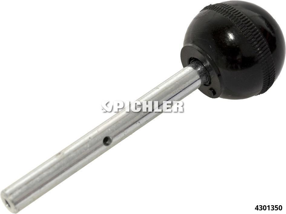 Diesel pump locking pin Audi, VAG (4301350, PICHLER)