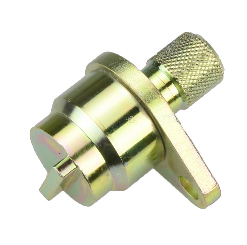 Timing Fixing Tool Staking Pin Camshaft (43200104, PICHLER)