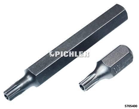 Torxeinsatz mit Bohrung Aufnahme 10 mm TXB 40 x 75 (5705400, PICHLER)