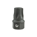 Speciāls Torx uzgalis T55, Mod. AB, piedziņa SW13 (57500550, PICHLER)