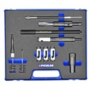 Complement to Injector Removal Kit M9R, with Optional Cleaning Kit (60385190, PICHLER)